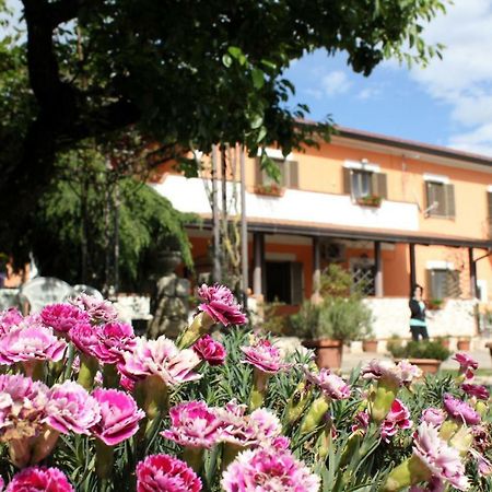 B&B Casale Shanti Piedimonte San Germano エクステリア 写真